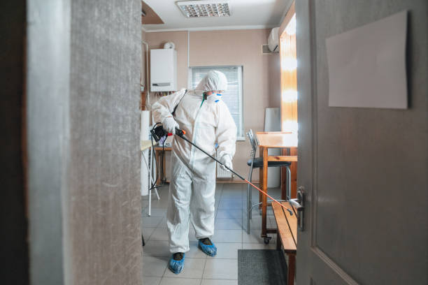 Best Biohazard Mold Removal  in Vinings, GA
