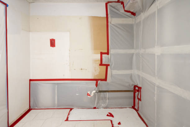 Best Mold Documentation for Insurance Claims  in Vinings, GA