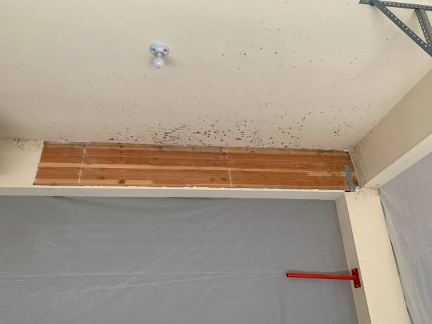 Best Mold Removal for HVAC Installations  in Vinings, GA